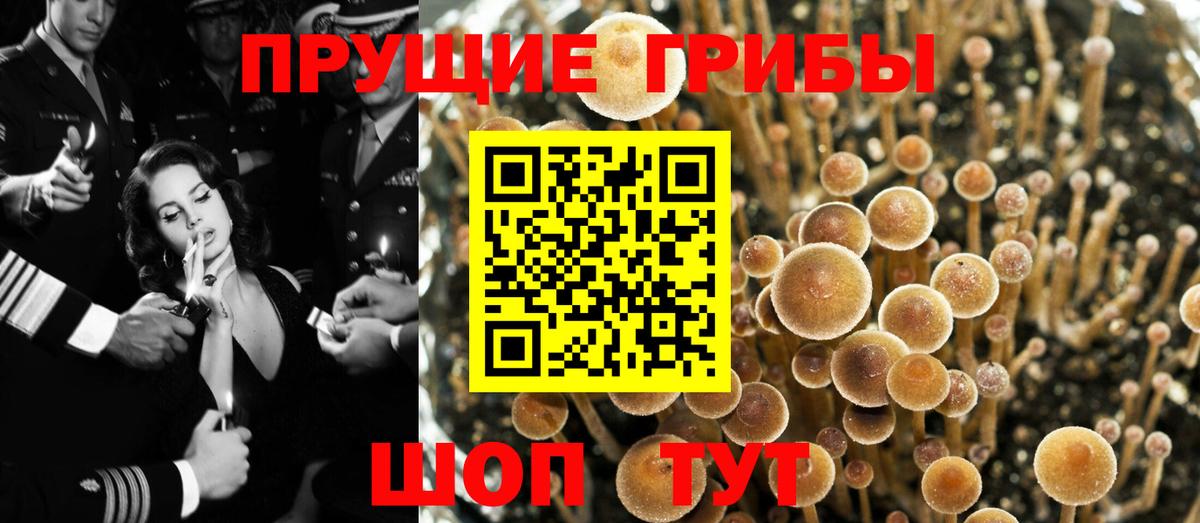 Бугуруслан  Галлюциногенные грибы Magic Shrooms  Вход с VPN 
