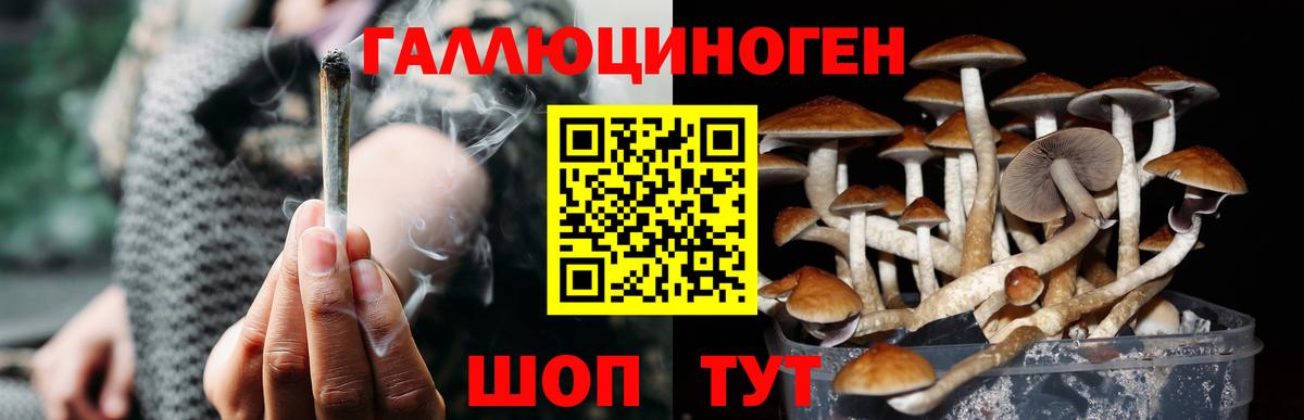 Галлюциногенные грибы MAGIC MUSHROOMS Бугуруслан